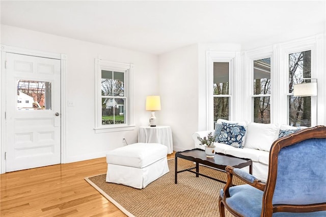 sitting room with wood-type flooring