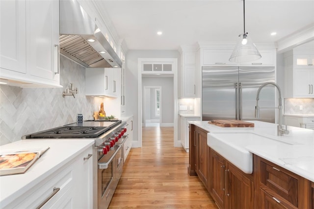 kitchen with light wood-type flooring, ventilation hood, sink, high quality appliances, and white cabinets