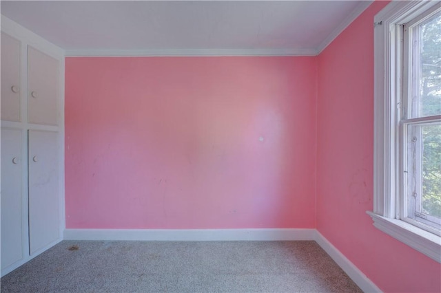 spare room with carpet flooring and crown molding