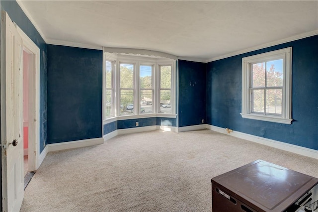 carpeted spare room featuring ornamental molding