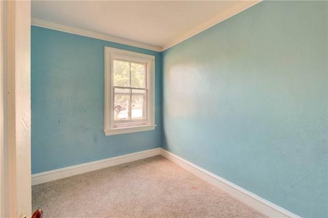 spare room with carpet floors and crown molding