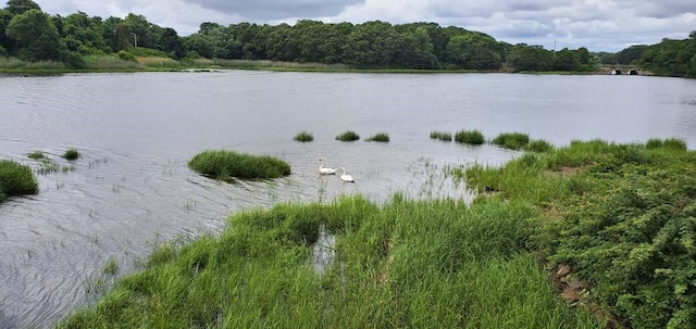 water view