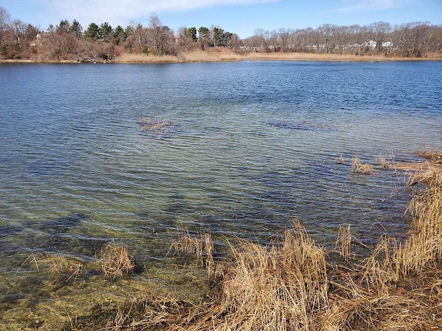 view of water feature