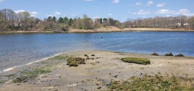 view of water feature