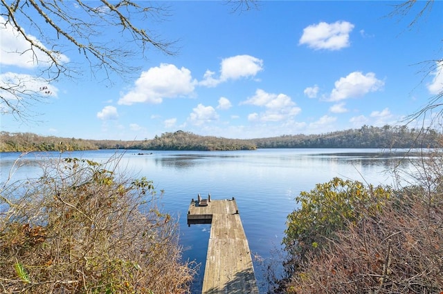 dock area featuring a water view