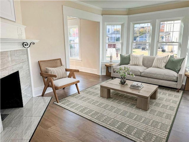 living room with crown molding and dark wood-type flooring