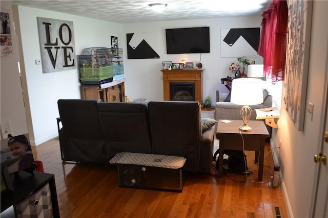 living room featuring hardwood / wood-style floors and a textured ceiling