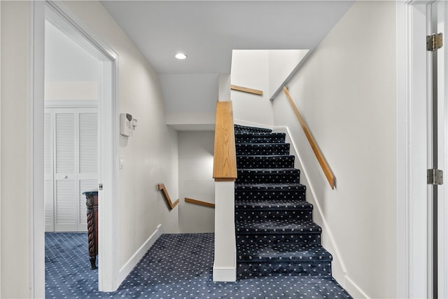 staircase featuring carpet floors