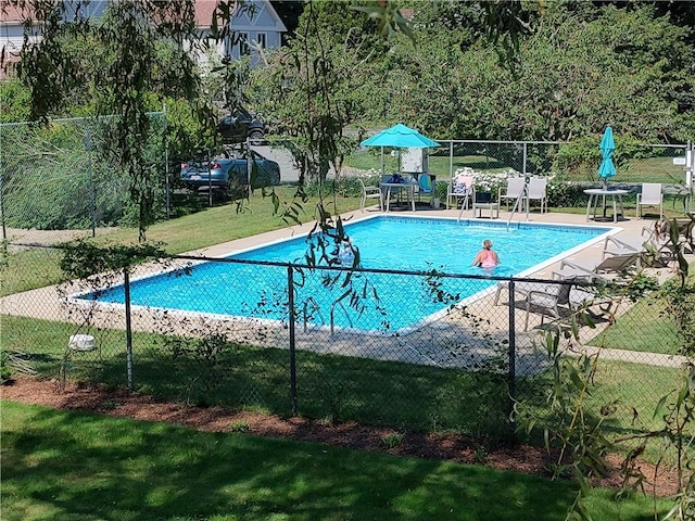 view of swimming pool featuring a lawn