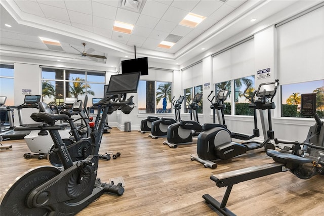 gym with a tray ceiling, ceiling fan, a towering ceiling, and light wood-type flooring