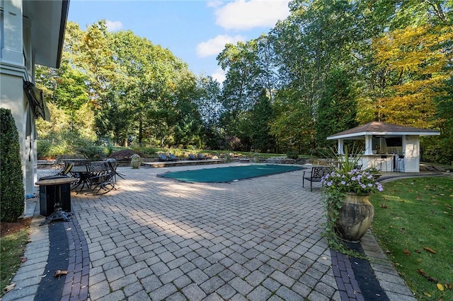 view of swimming pool with a patio area and an outdoor bar