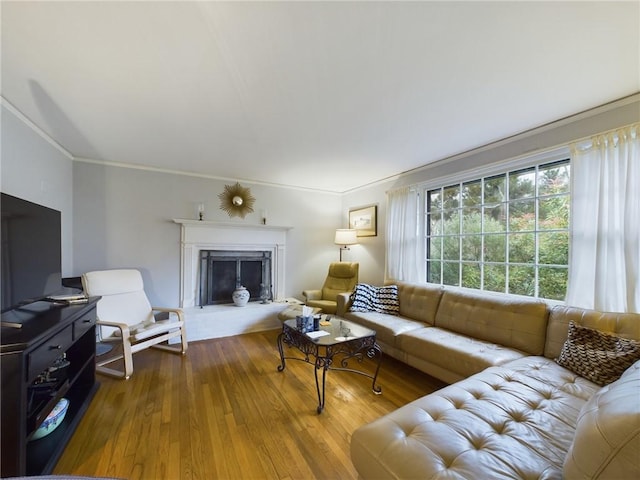 living room with crown molding and wood-type flooring