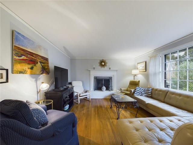 living room featuring hardwood / wood-style flooring and ornamental molding