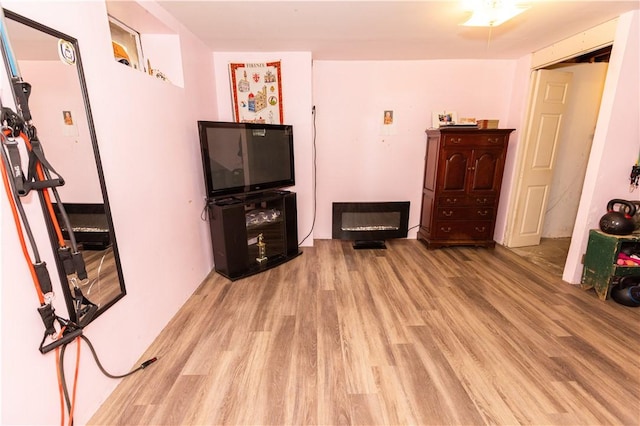 living room with light hardwood / wood-style floors