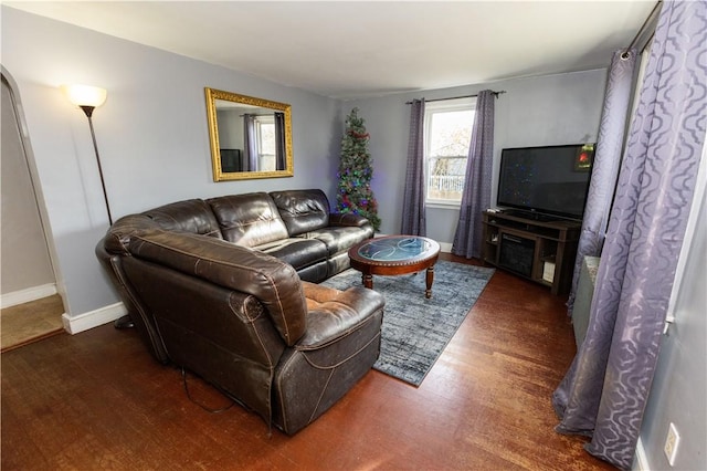 living room with dark hardwood / wood-style floors