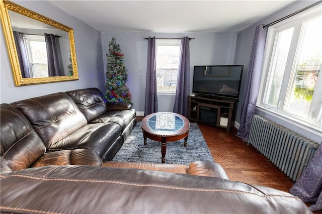 living room with radiator heating unit and dark wood-type flooring