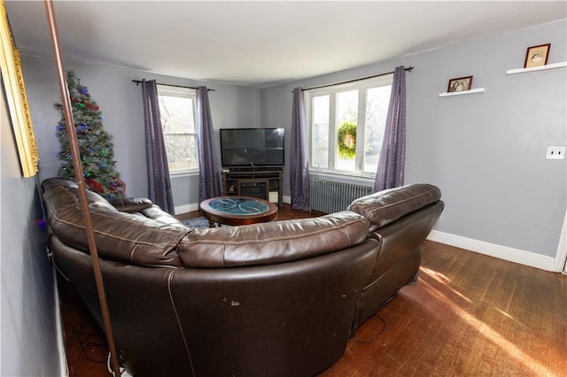 living room featuring radiator heating unit and plenty of natural light