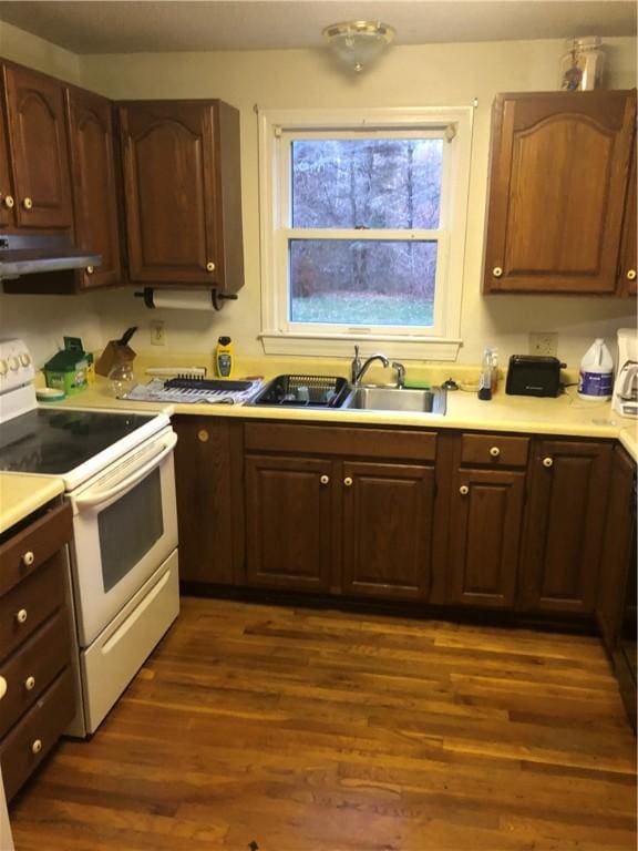 kitchen with dark hardwood / wood-style flooring, sink, white electric range oven, and dark brown cabinets