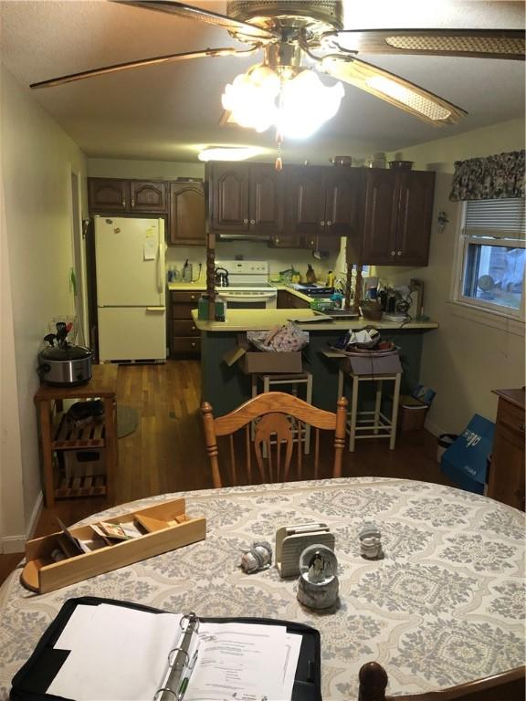 kitchen featuring white appliances, ventilation hood, dark brown cabinetry, ceiling fan, and dark wood-type flooring