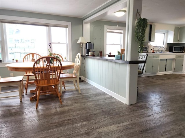 dining area with dark hardwood / wood-style flooring and sink