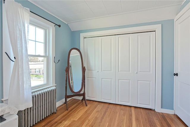 bedroom with multiple windows, a closet, light hardwood / wood-style floors, and radiator