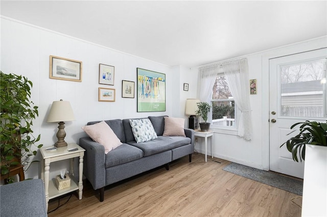 living room with light wood-type flooring