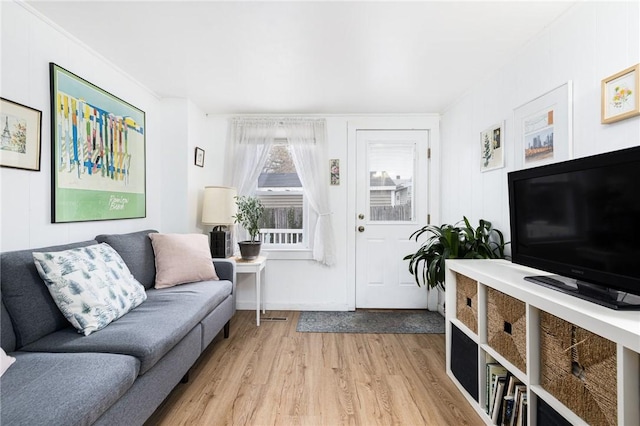 living room featuring light hardwood / wood-style flooring