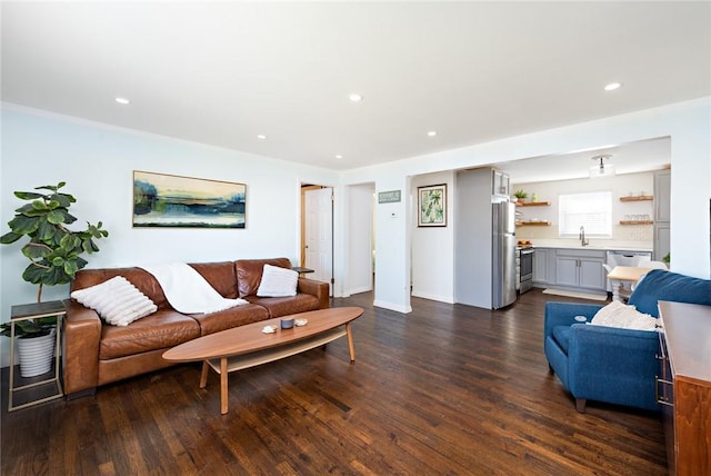 living room featuring dark hardwood / wood-style flooring and sink