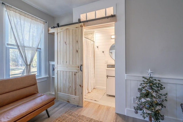 doorway featuring a barn door, light hardwood / wood-style floors, and wood walls