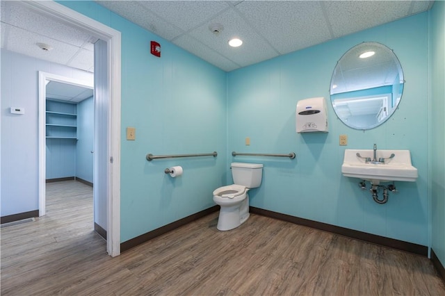 bathroom with hardwood / wood-style floors, toilet, a drop ceiling, and sink