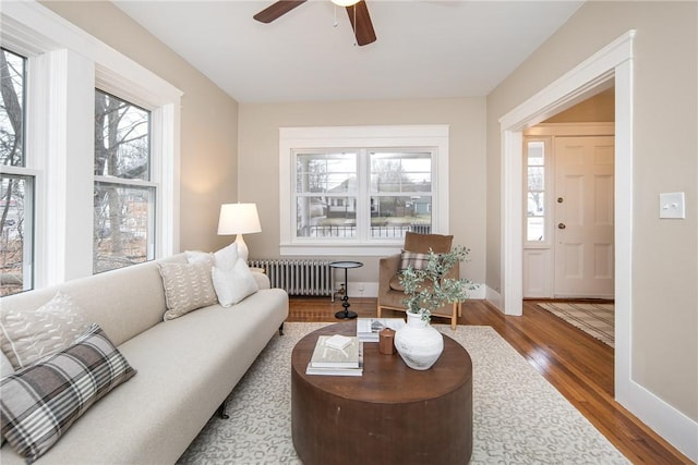 living room with radiator, ceiling fan, and wood-type flooring