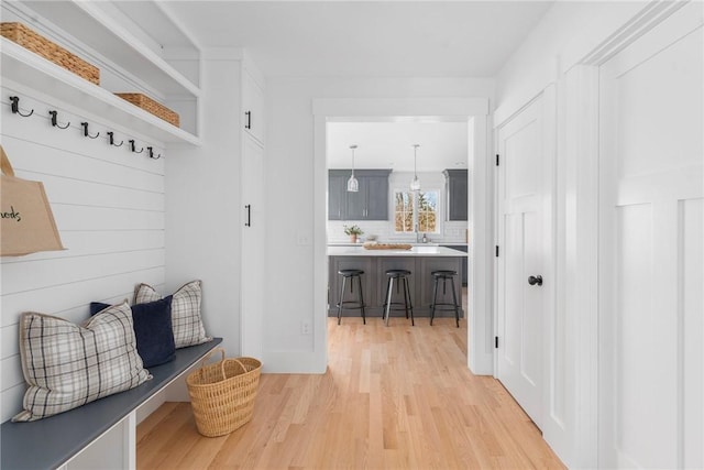 mudroom with light hardwood / wood-style flooring