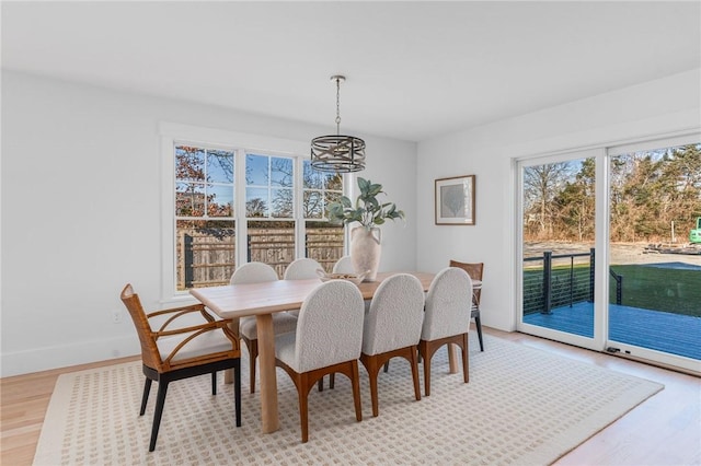 dining room with light hardwood / wood-style flooring and a chandelier