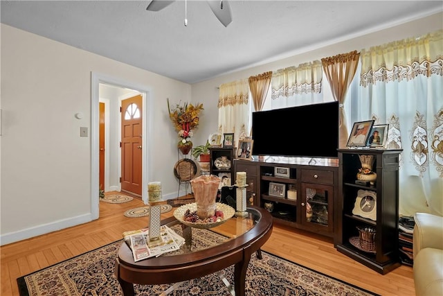 living room featuring ceiling fan and wood-type flooring