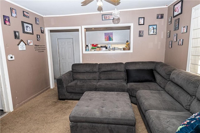 carpeted living room featuring ceiling fan and crown molding