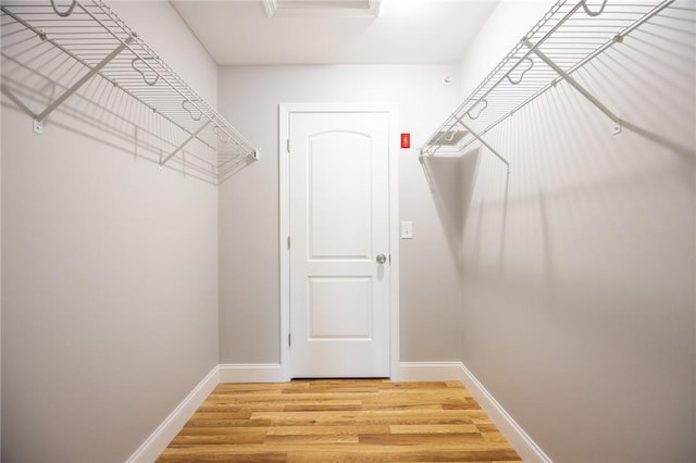 spacious closet with hardwood / wood-style flooring