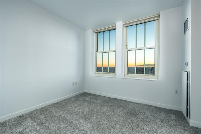 spare room with carpet flooring