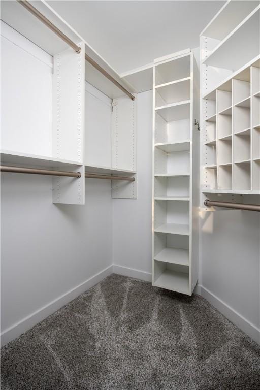 walk in closet with dark colored carpet