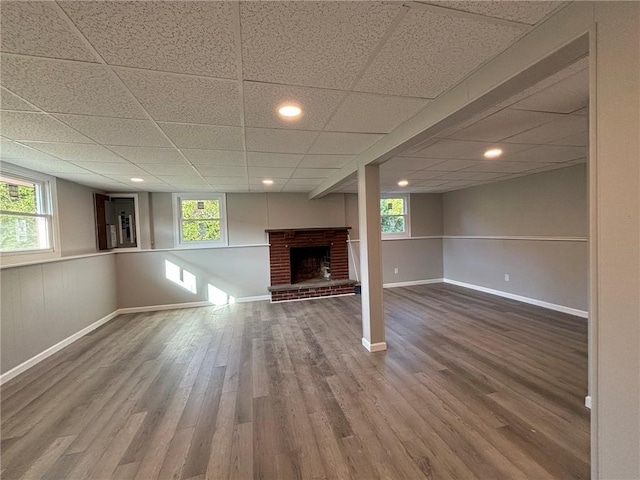 basement featuring a paneled ceiling, a fireplace, and hardwood / wood-style flooring