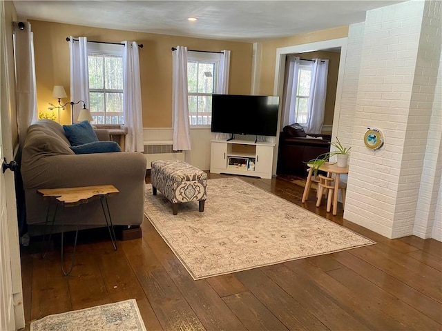 living room featuring dark hardwood / wood-style floors