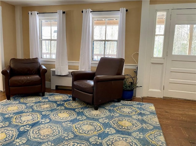 living area featuring wood-type flooring