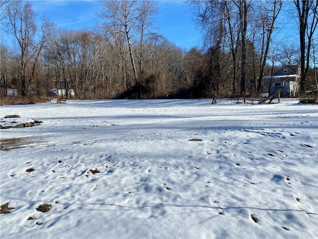 view of yard layered in snow