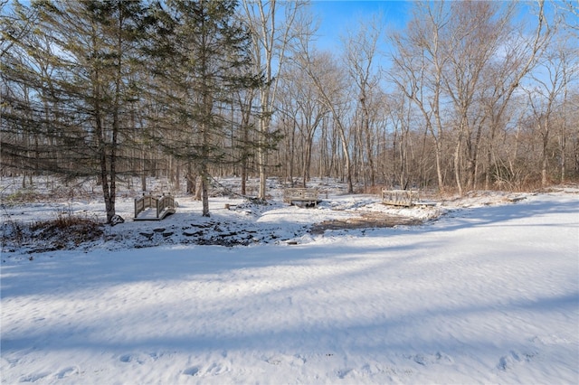 view of snowy yard