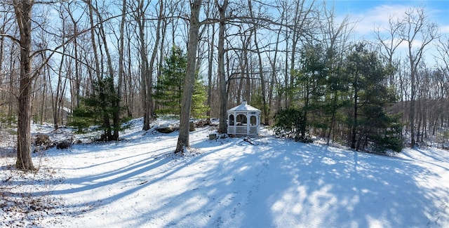 view of yard layered in snow