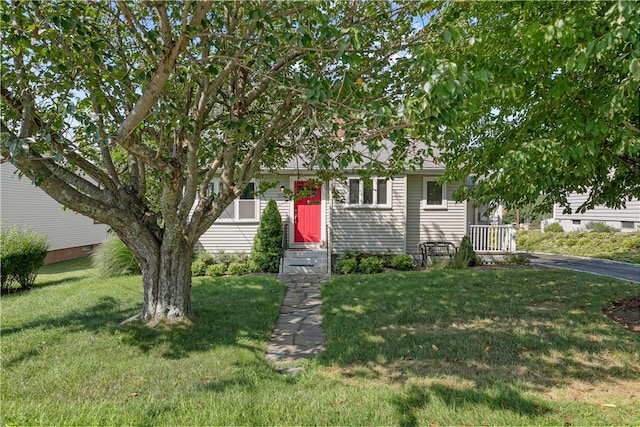 view of property hidden behind natural elements with a front yard