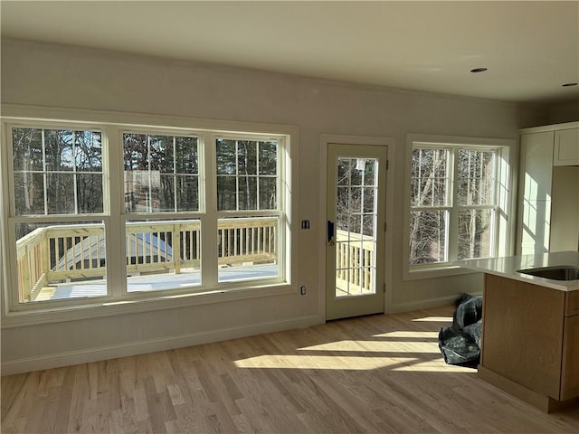 entryway with light wood-type flooring