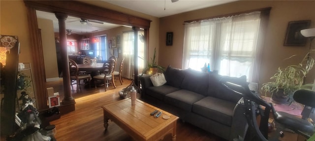 living room featuring ceiling fan and wood-type flooring