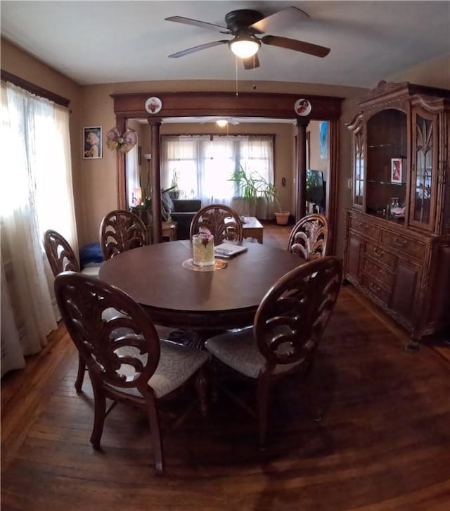 dining room featuring hardwood / wood-style floors and ceiling fan