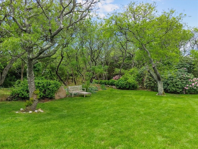 1635 Isabella Beach Rd, Southold, NY 06390 - view of green lawn