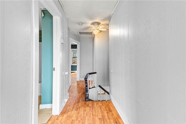 hallway with a textured ceiling and light hardwood / wood-style flooring